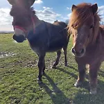 Дом отдыха Les Boutons D'or