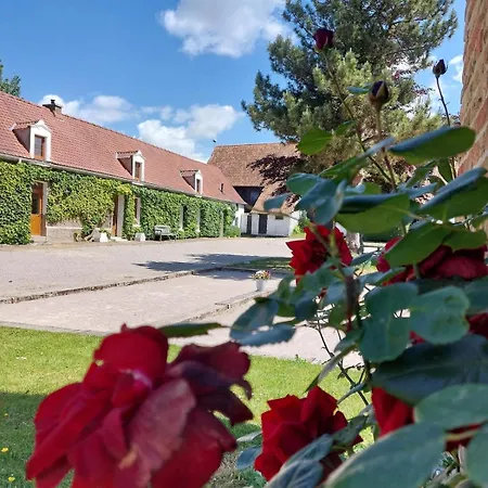 Les Boutons D'or Lacres