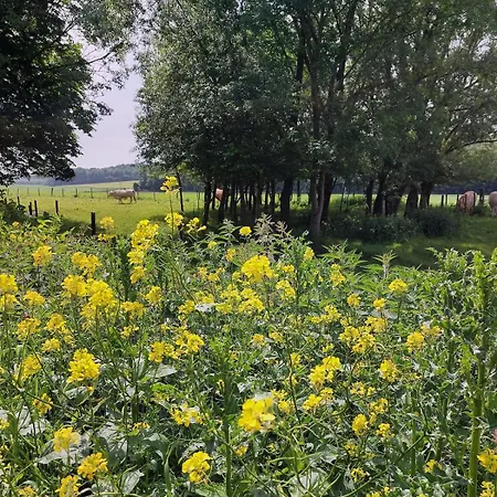 Les Boutons D'or بيت للعطل Lacres