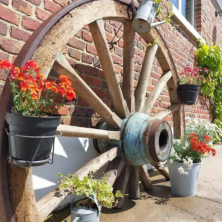 Les Boutons D'or بيت للعطل Lacres