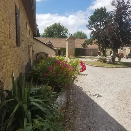 Les Boutons D'or بيت للعطل