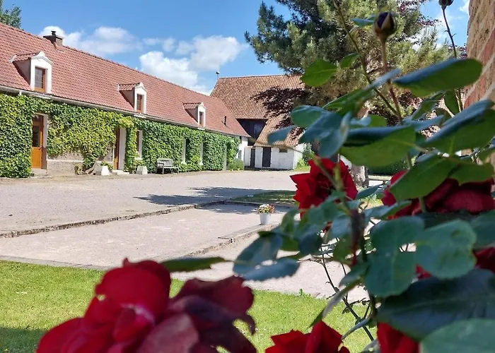 Les Boutons D'or Lacres