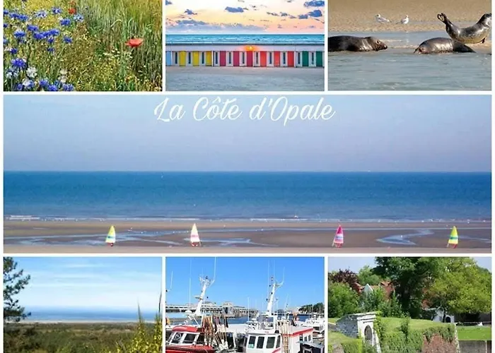 Les Boutons D'or Hébergement de vacances *