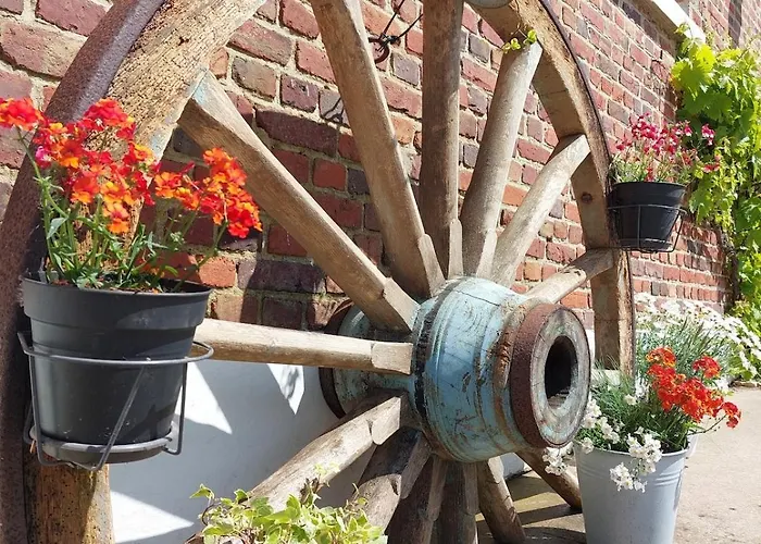 Les Boutons D'or Hébergement de vacances Lacres