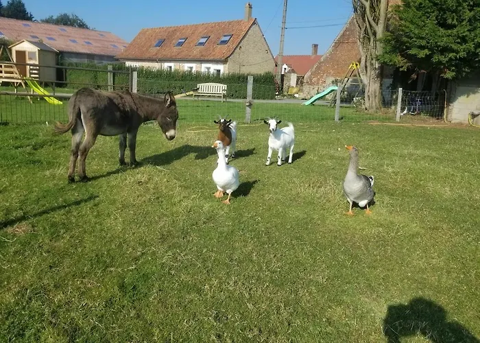 Les Boutons D'or Hébergement de vacances Lacres