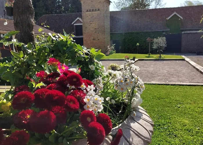 Les Boutons D'or Hébergement de vacances Lacres
