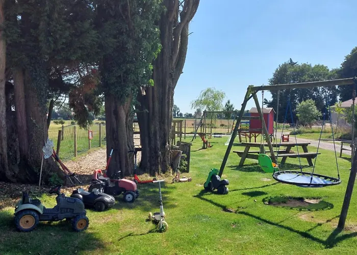 Les Boutons D'or * Lacres